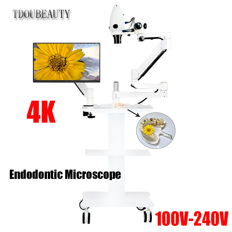 Teeth Whitening Video - 4K歯科用電子顕微鏡 2000万画素 ビデオサポート 根管内蔵型 5X-33X倍率 100V-240V