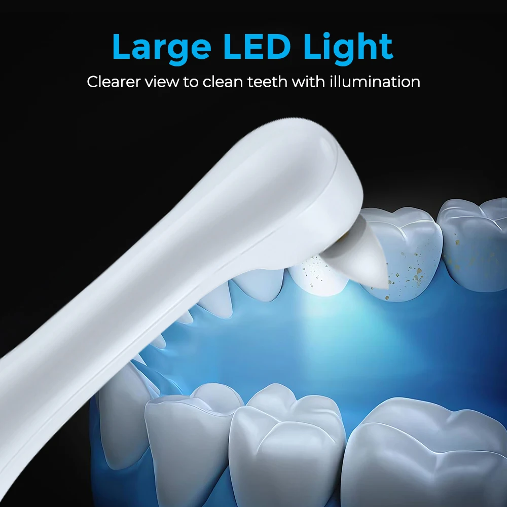 電動歯磨き器歯のホワイトニングクリーナー 6 ブラシヘッド  - Teeth Whitening Led Kit のレビューと価格