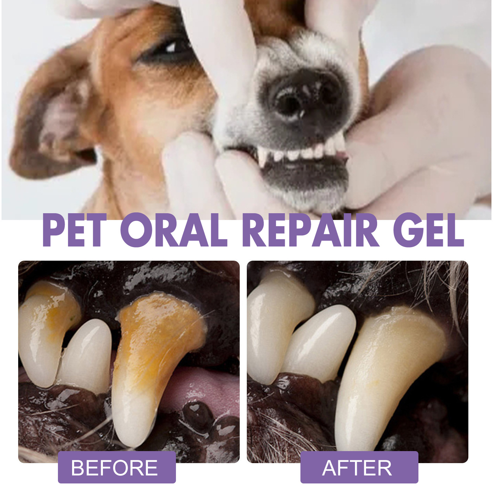 ペット口腔修復ジェル子犬歯石除去消臭剤白くする猫犬歯ステイン - Teeth Whitening Gels のレビューと価格